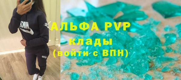 ПСИЛОЦИБИНОВЫЕ ГРИБЫ Богданович